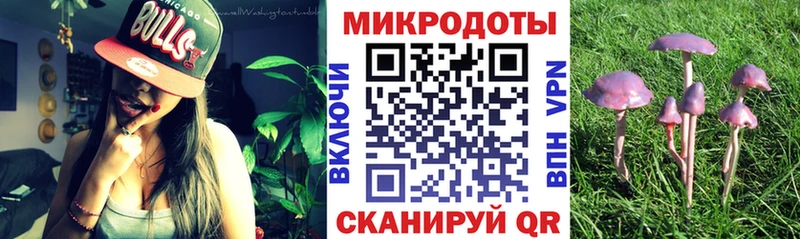Псилоцибиновые грибы мицелий  магазин    Шахунья 